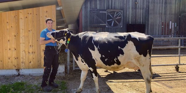Adrian Frauchiger sagt, seine Kühe müssten robust und praktisch sein und eine gute Milchleistung mit gutem Fett- und Eiweissgehalt haben.