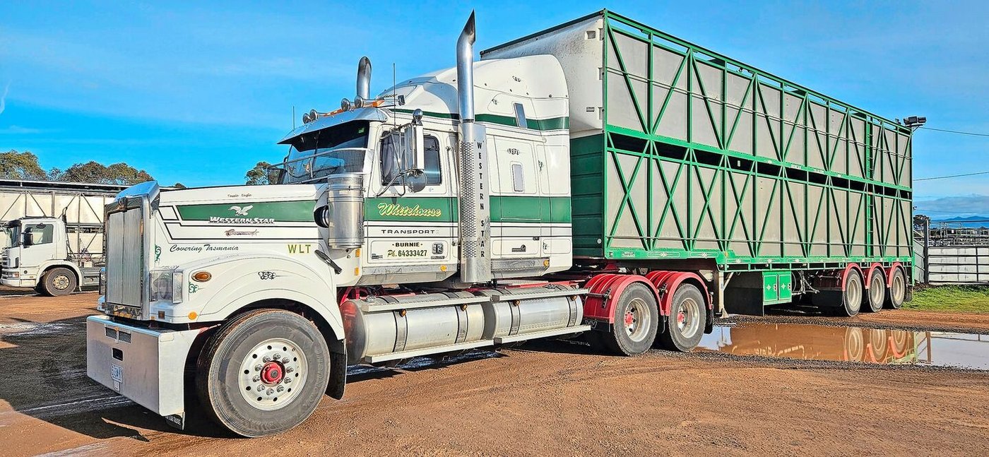 Die Dimensionen der tasmanischen Landwirtschaft wissen immer wieder zu beeindrucken. 