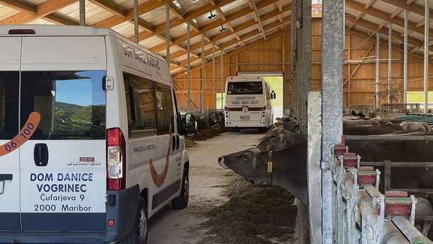 Eine Sonderanfertigung der Eingangstore war nötig, damit die Reisecars durchs Tenn fahren können. Bei der Stallarbeit am Morgen plötzlich von einer Gruppe Touristen überrascht zu werden, ist nicht ungewöhnlich.   