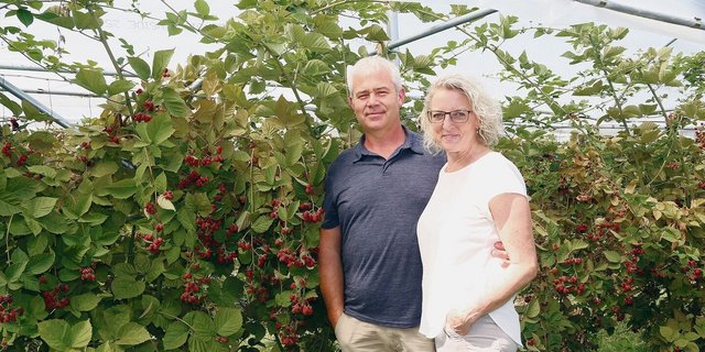 Franz Krummenacher und Yvonne Thali in ihrem Beerenparadies.