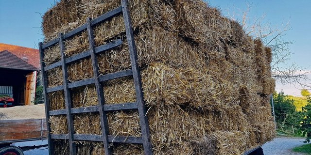 Auf vielen Bauernhöfen lagern zahlreiche Vorräte, die es an Neujahr zu bewerten gilt. Publiziert werden die Richtzahlen vom Treuhandverband Landwirtschaft Schweiz, Treuland.