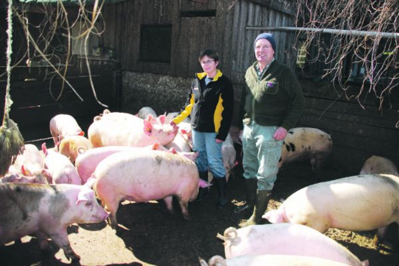 Hans und Ursula Feuz inmitten ihrer «Kräuterschweine». Alle Ferkel werden auf dem Betrieb Bärlischwand gemästet; deren Fleisch wird direkt ab Hof verkauft. (Bild Ruth Bossert)