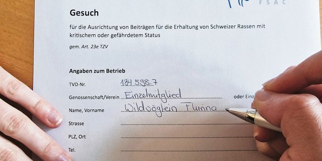 Der Ziegenzuchtverband hat vorbildlich gehandelt und ein Anmeldeformular für Erhaltungsbeiträge auf die eigene Internetseite gestellt. 