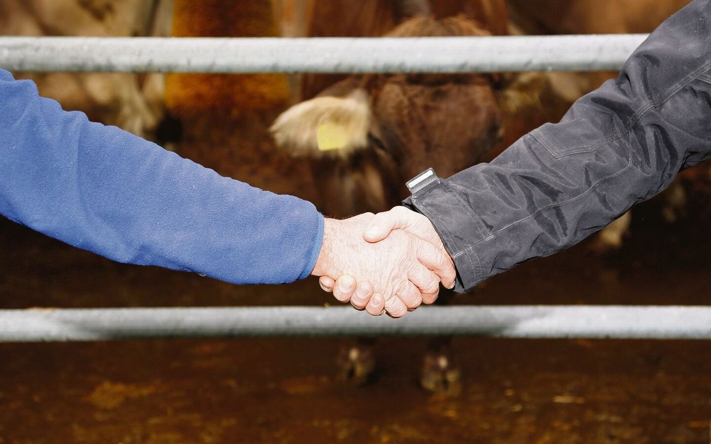 Hilfe annehmen braucht Mut. Bauernfamilien in Notlagen sollte diesbezüglich weniger zurückhaltend sein. 