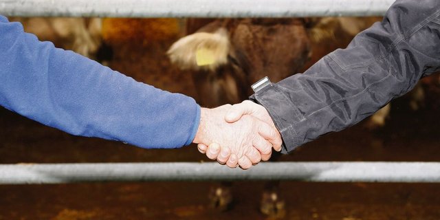 Hilfe annehmen braucht Mut. Bauernfamilien in Notlagen sollte diesbezüglich weniger zurückhaltend sein. 