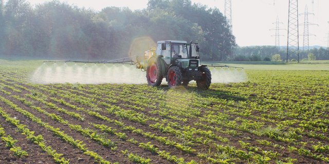 Das Bild zeigt den Einsatz von Pflanzenschutzmitteln in einer Zuckerrübenkultur. Mit den Diskussionen um die Trinkwasser-Initiative und den Wirkstoff Chlorothalonil hat die Diskussion um synthetische PSM an Brisanz gewonnen.(Bild BauZ)