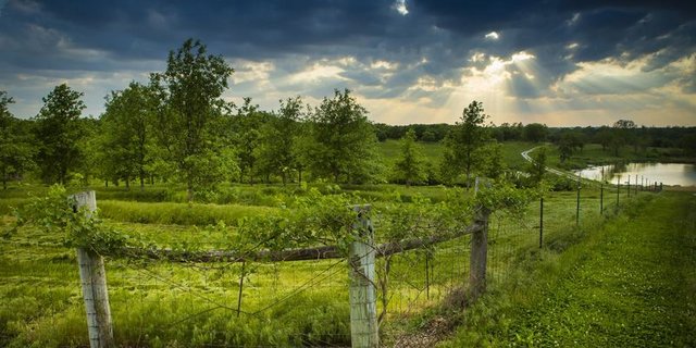 Die Agrarökologie wird häufig als eine integrierte Lösung dargestellt, die zwei zentrale Herausforderungen der heutigen Landwirtschaft miteinander in Einklang bringen soll: Die Ernährung einer wachsenden Bevölkerung bei gleichzeitiger Schonung der natürlichen Ressourcen. (Bild Biovision)