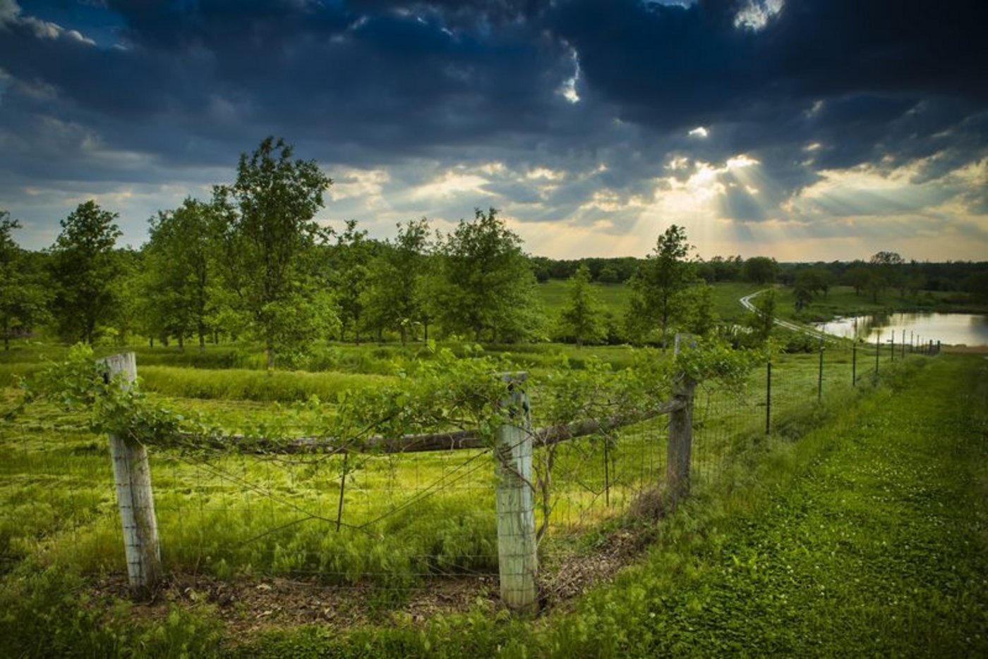 Die Agrarökologie wird häufig als eine integrierte Lösung dargestellt, die zwei zentrale Herausforderungen der heutigen Landwirtschaft miteinander in Einklang bringen soll: Die Ernährung einer wachsenden Bevölkerung bei gleichzeitiger Schonung der natürlichen Ressourcen. (Bild Biovision)