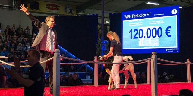 «Perfection» wurde für eine sechsstellige Rekordsumme verkauft. (Bild Masterrind)