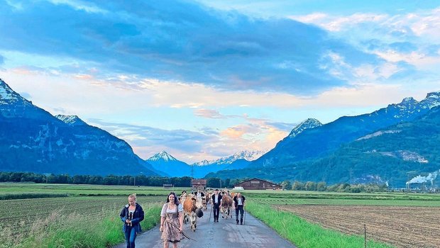 Im Flachen hatten es die Kühe noch eilig, denn sie wussten genau, dass es auf die Alp geht. Der Anstieg bremste sie dann etwas.