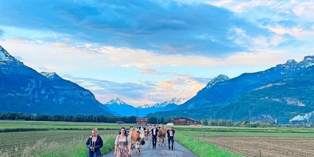 Im Flachen hatten es die Kühe noch eilig, denn sie wussten genau, dass es auf die Alp geht. Der Anstieg bremste sie dann etwas.