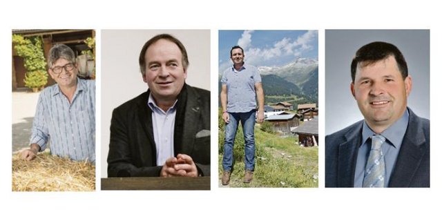 Martin Haab, Alois Huber, Thomas Roffler und Hans Jörg Rüegsegger bewerben sich als Vizepräsident des SBV. (Bilder zVg)