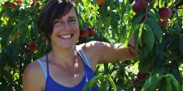 Manuela Bleuler ist zufrieden: Die herrlich duftenden Pfirsiche sind heuer besonders schön. (Bild: sbw)