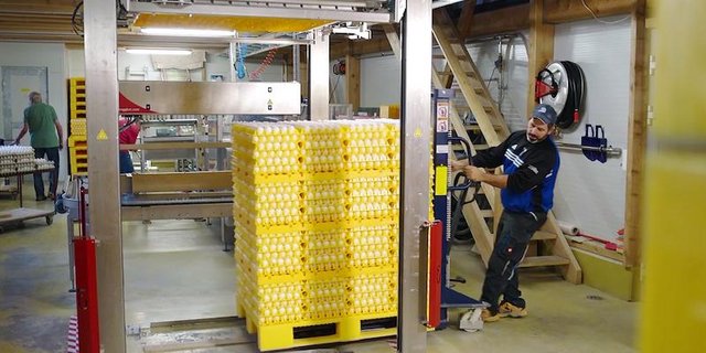 Rolf Pfeiffer setzt auf seinem Betrieb den M'eggbot ein. Das nimmt ihm viel Arbeit ab. (Bild Screenshot Video Rolf Pfeiffer)