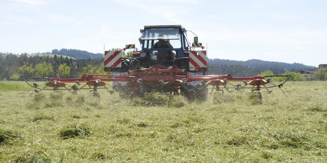 Gut getrocknetes Gras verringert die Gefahr für Heustockbrände. (Bild BauZ)