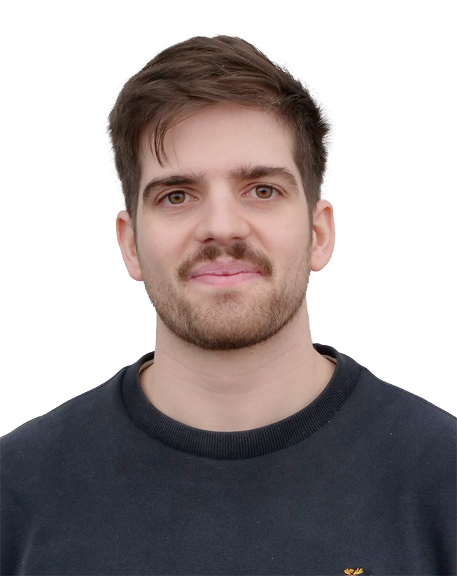 Matthieu Induni, Layout und IT-Infrastruktur